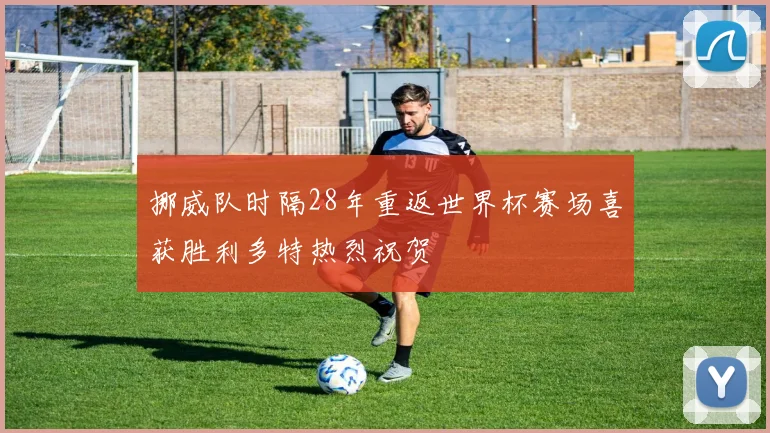 挪威队时隔28年重返世界杯赛场喜获胜利多特热烈祝贺